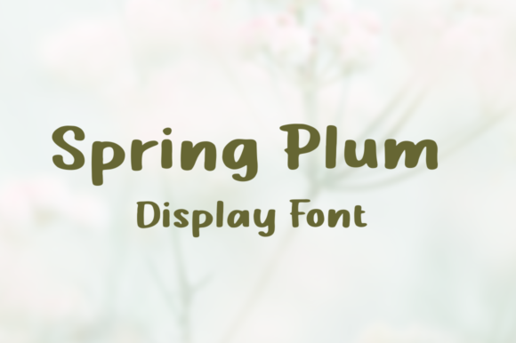 Evaluating Spring Plum: A Practical Guide to Using a Charming Display Font