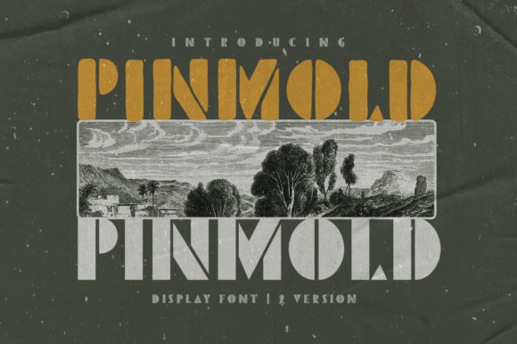 Pinmold: Elevate Your Designs With Bold Vintage Typography